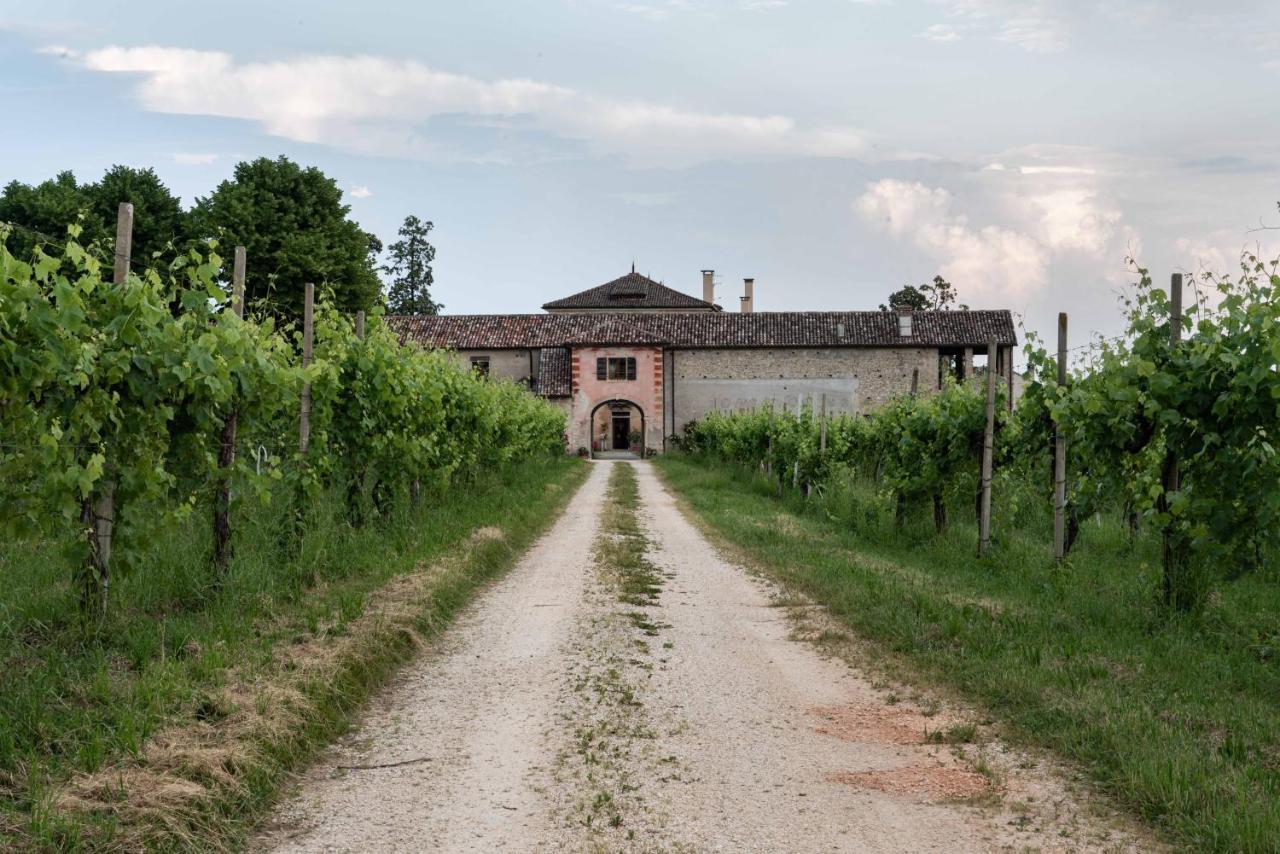 Fiori&Vigne Di Cecilia Marcon Villa Farra di Soligo Exterior photo